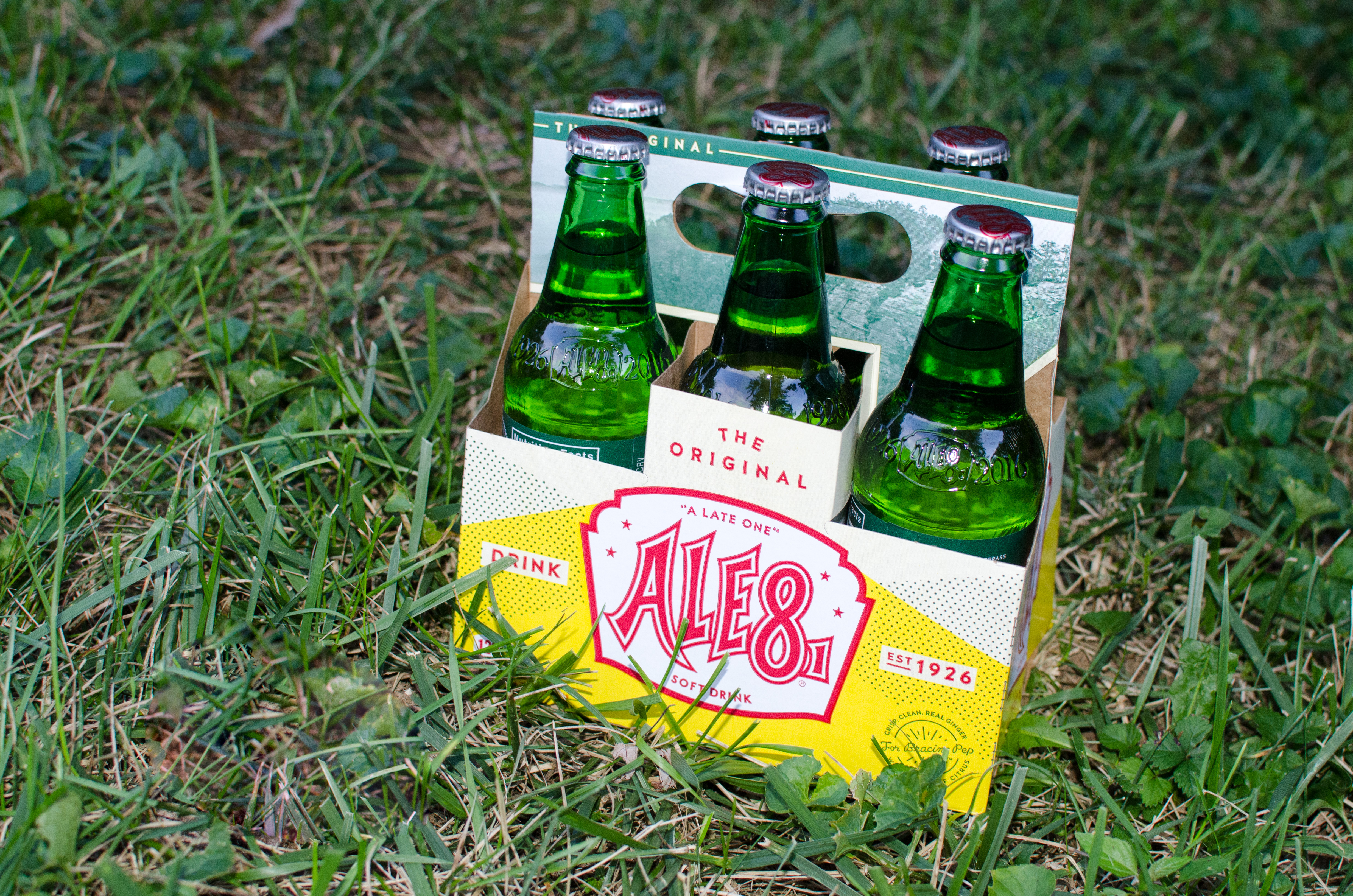 ale8-6pack