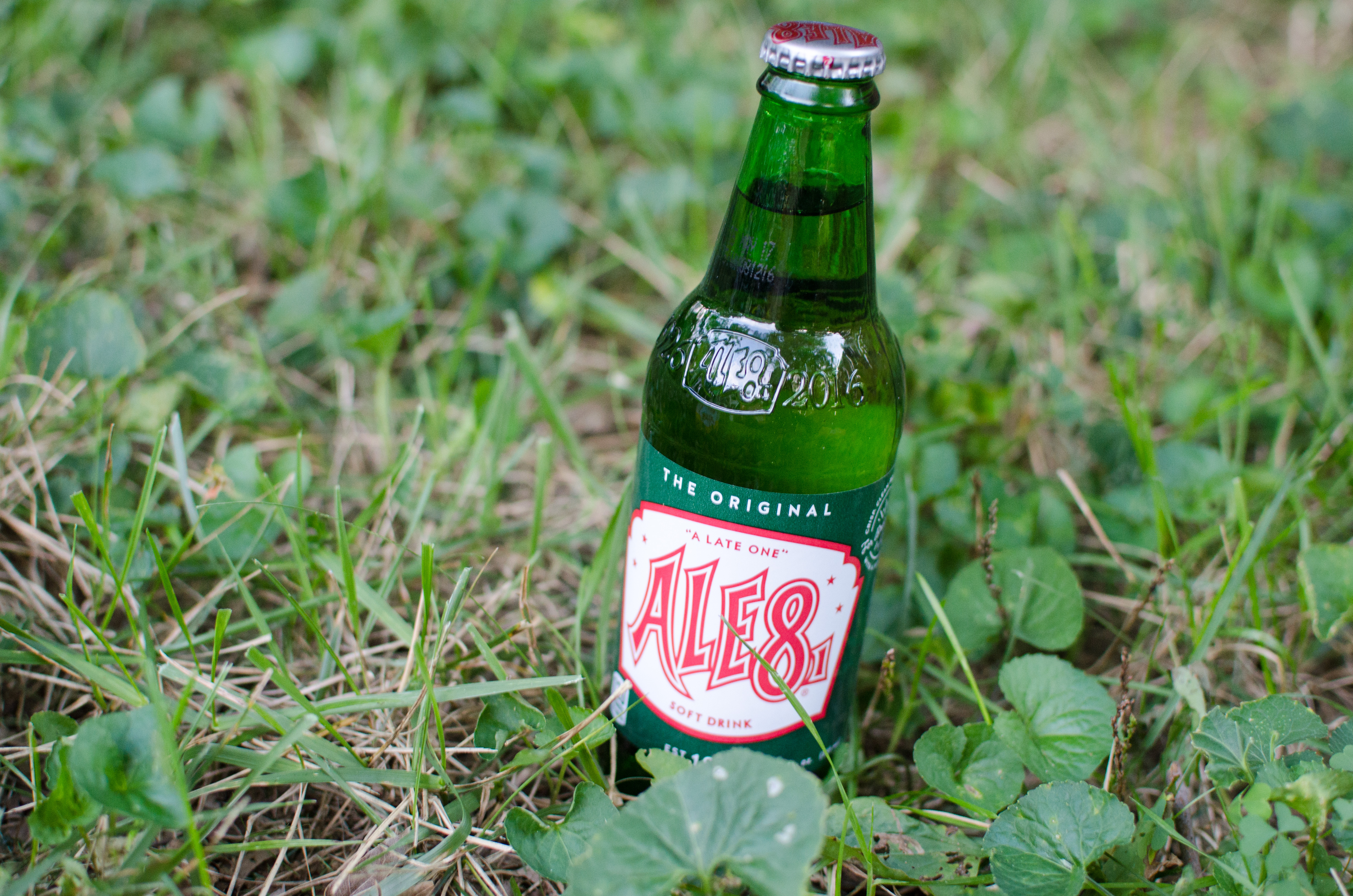 ale 8