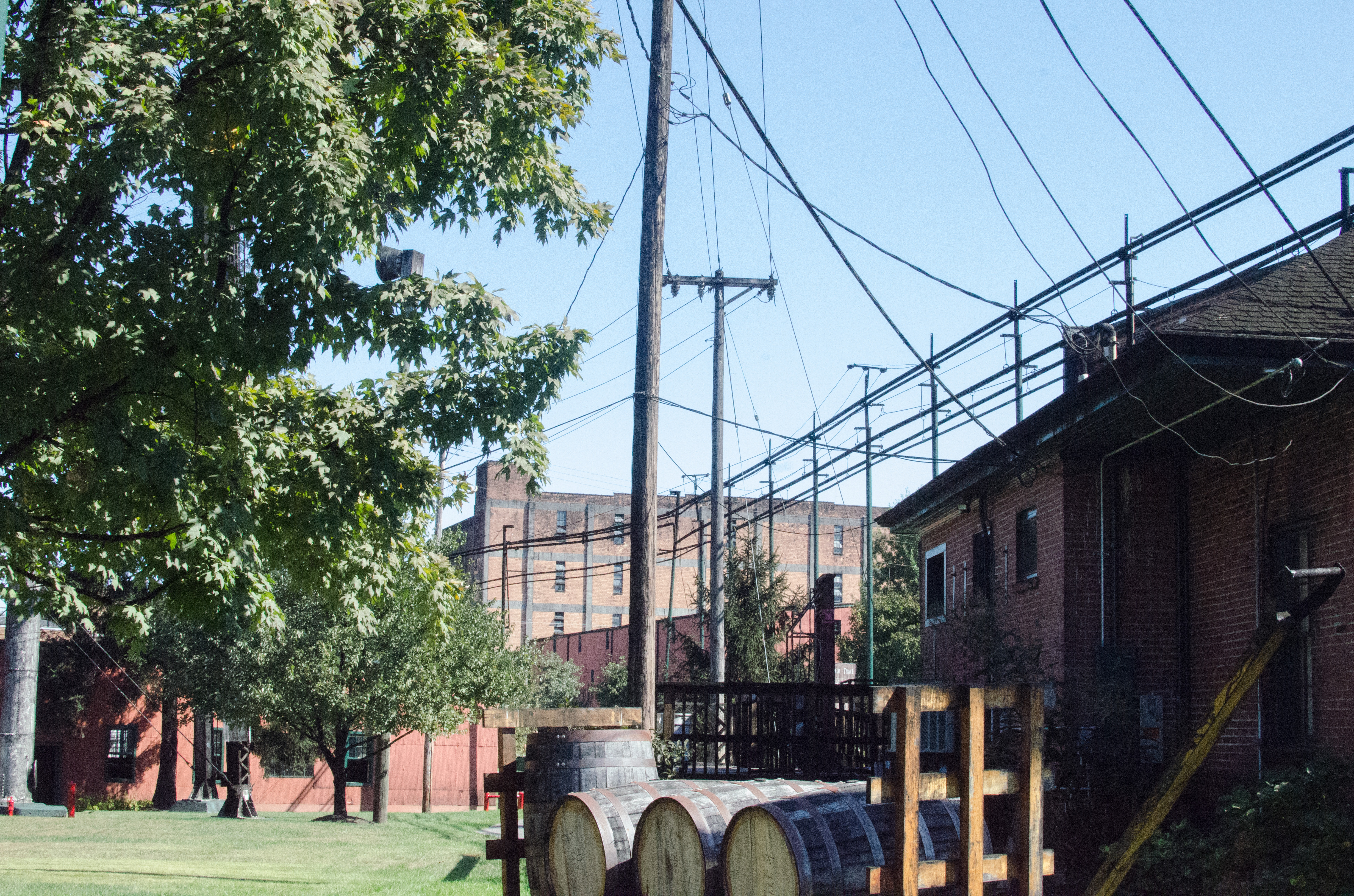 buffalotrace_outside2