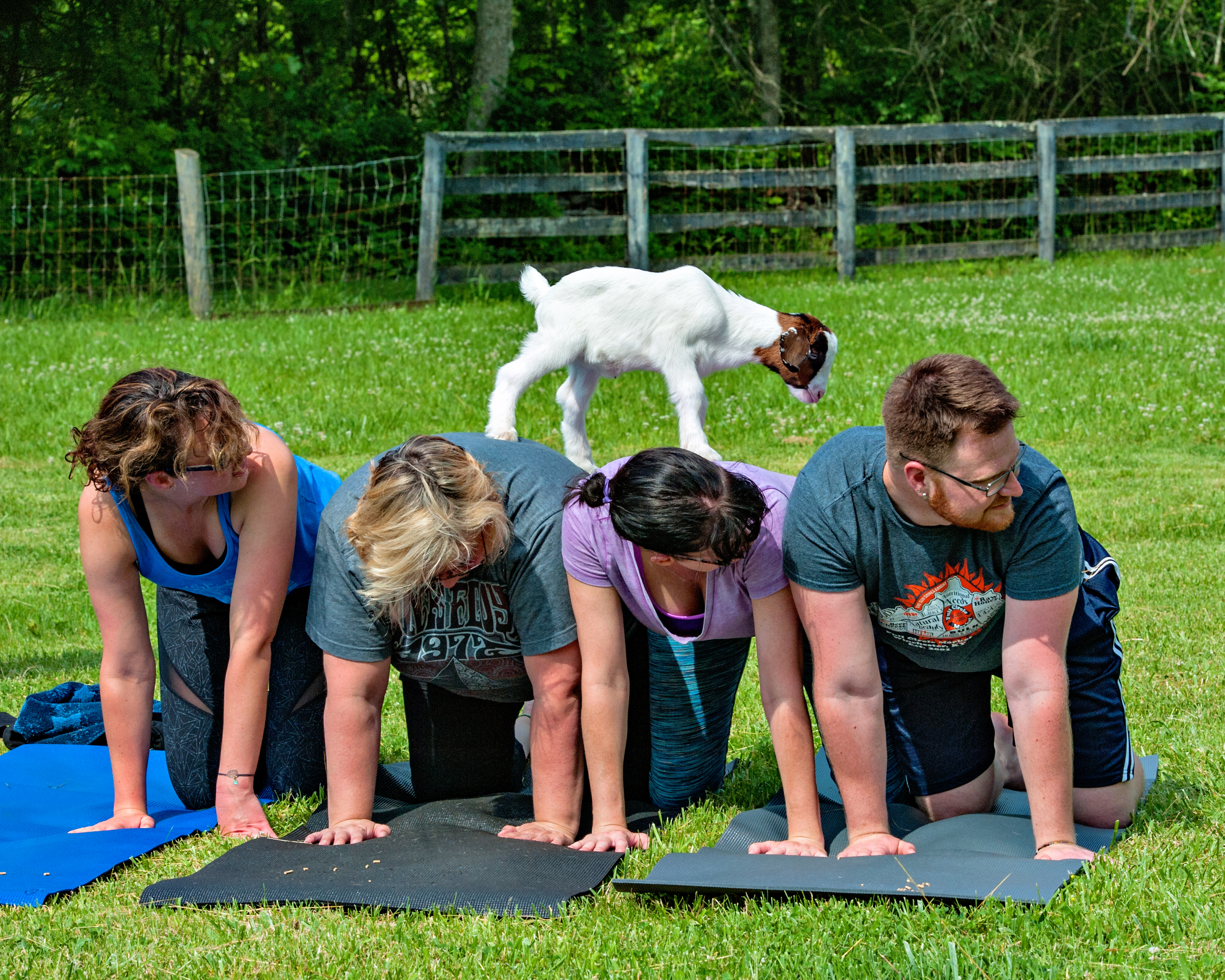 The Latest Fitness Craze Makes It To The Bluegrass StateGoat