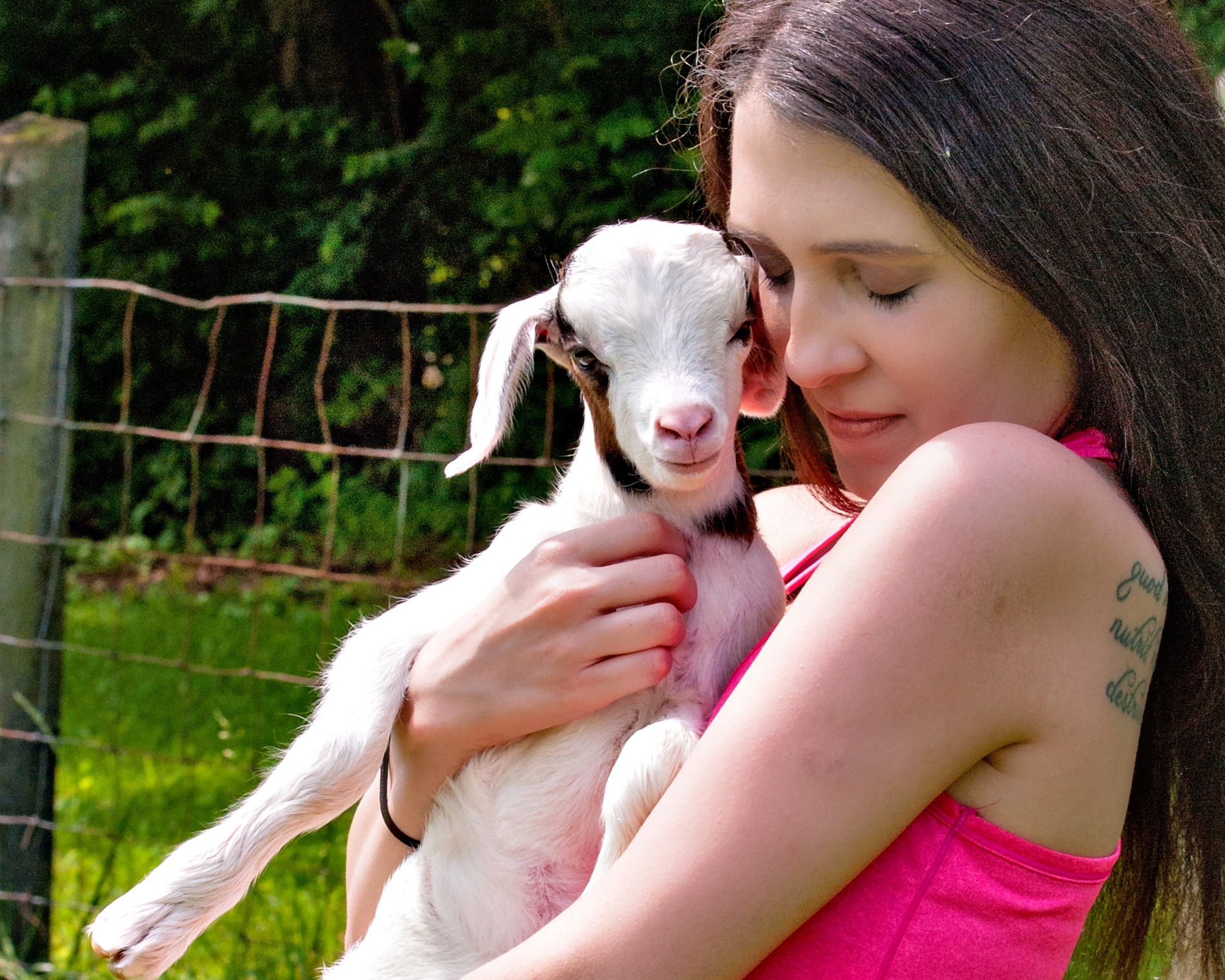 yoga with baby goats