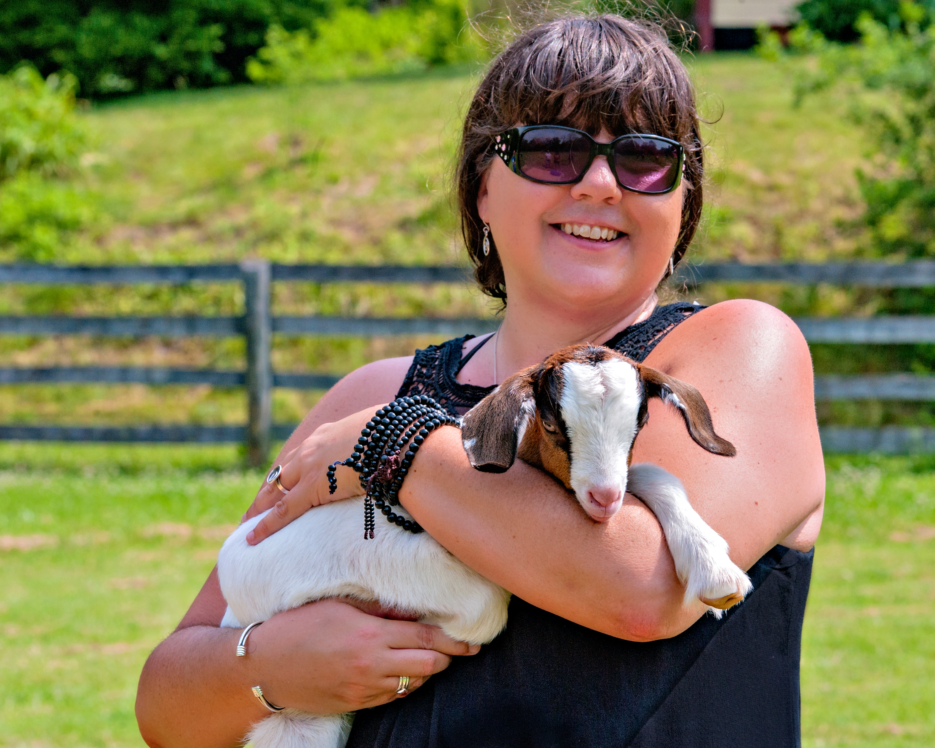 yoga with baby goats