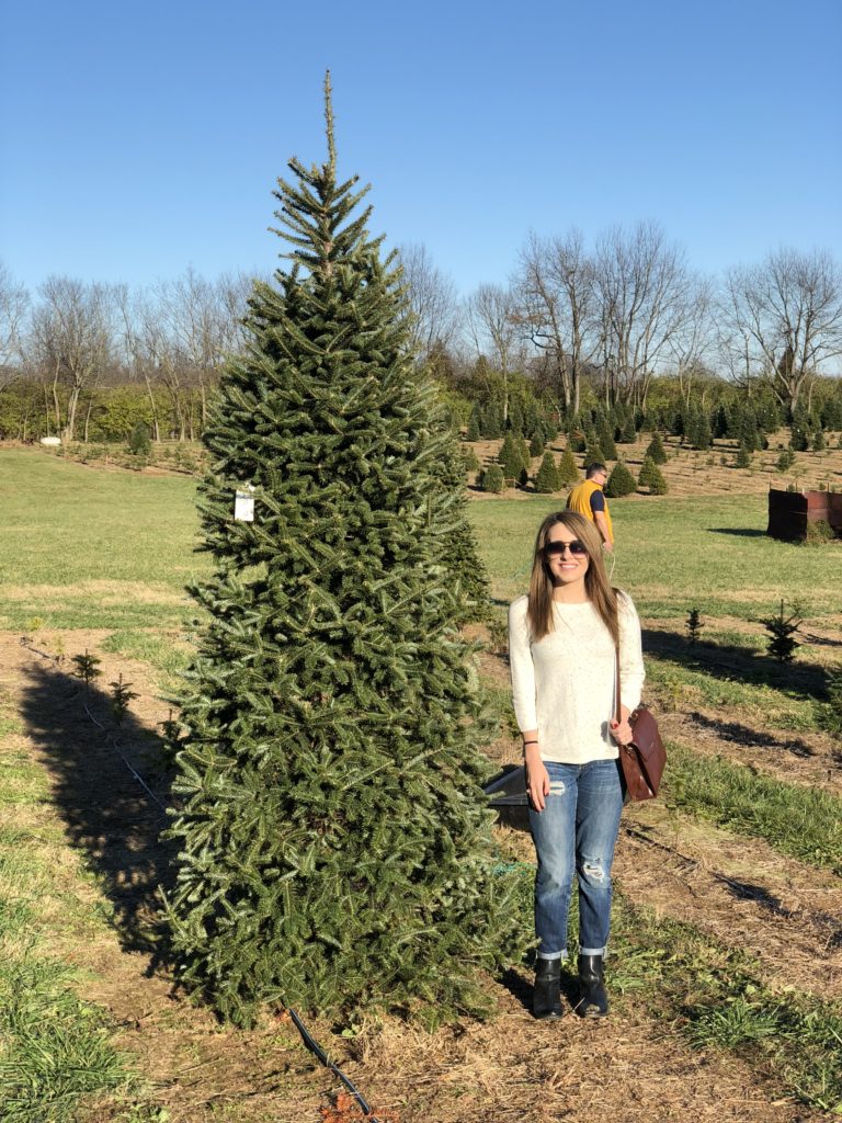 Picking Out The Perfect Tree At Barker S Christmas Tree Farm