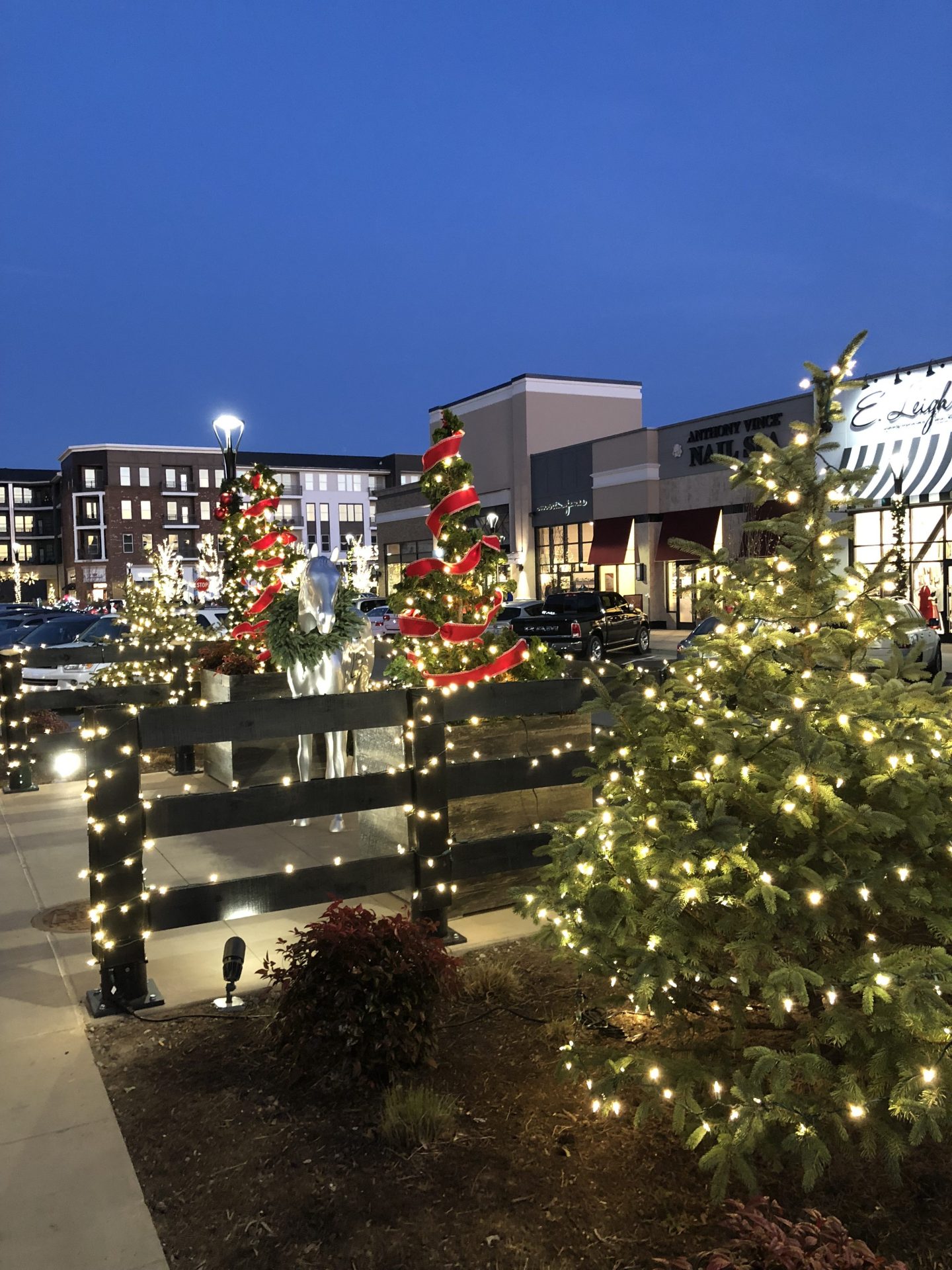 100 Things To Do In Lexington Kentucky During December Fabulous In