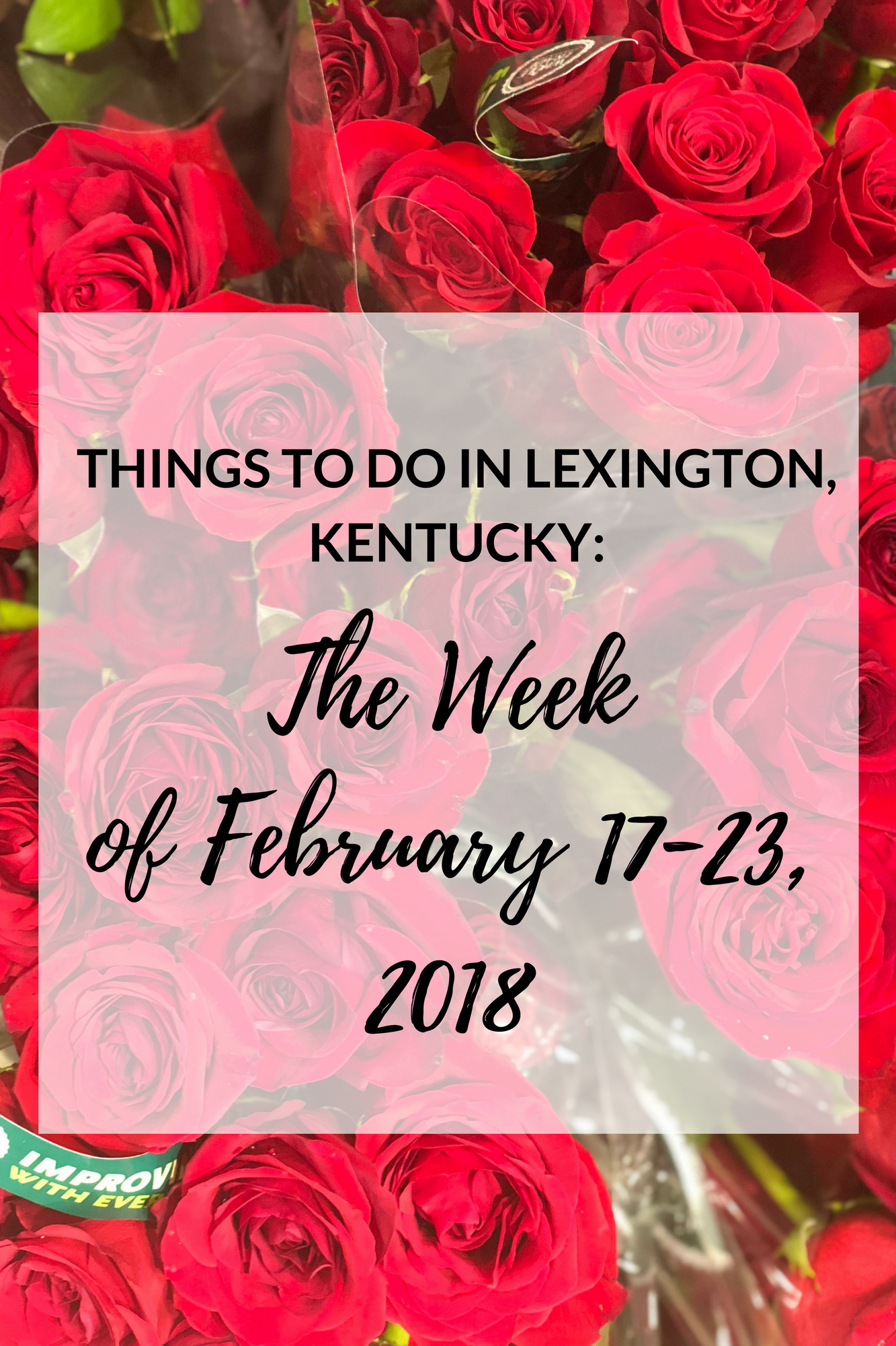 things to do in lexington kentucky february