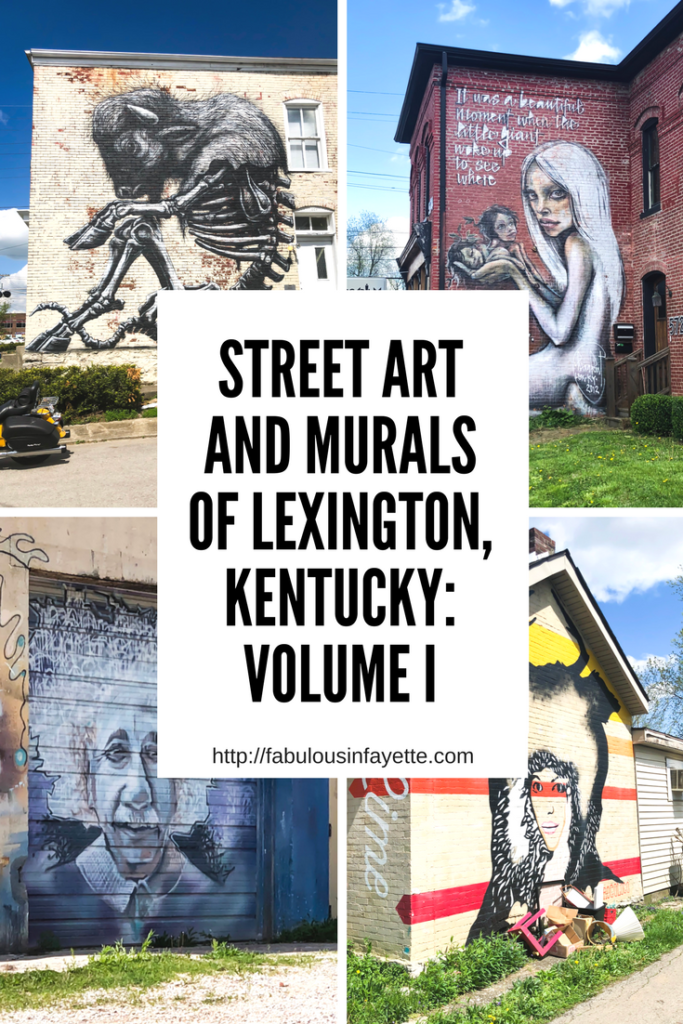 Lexington, Kentucky is home to many beautiful pieces of creative and interesting street art. There are many murals downtown, but there are also many others located throughout the city. You just have to know where to look! The murals are not only created by talented artists (some are even world renowned), but some are created by anonymous painters. #sharethelex #lexingtonky #kentucky #art #streetart #mural #legalgraffiti #colorful #visitlex #travelky
