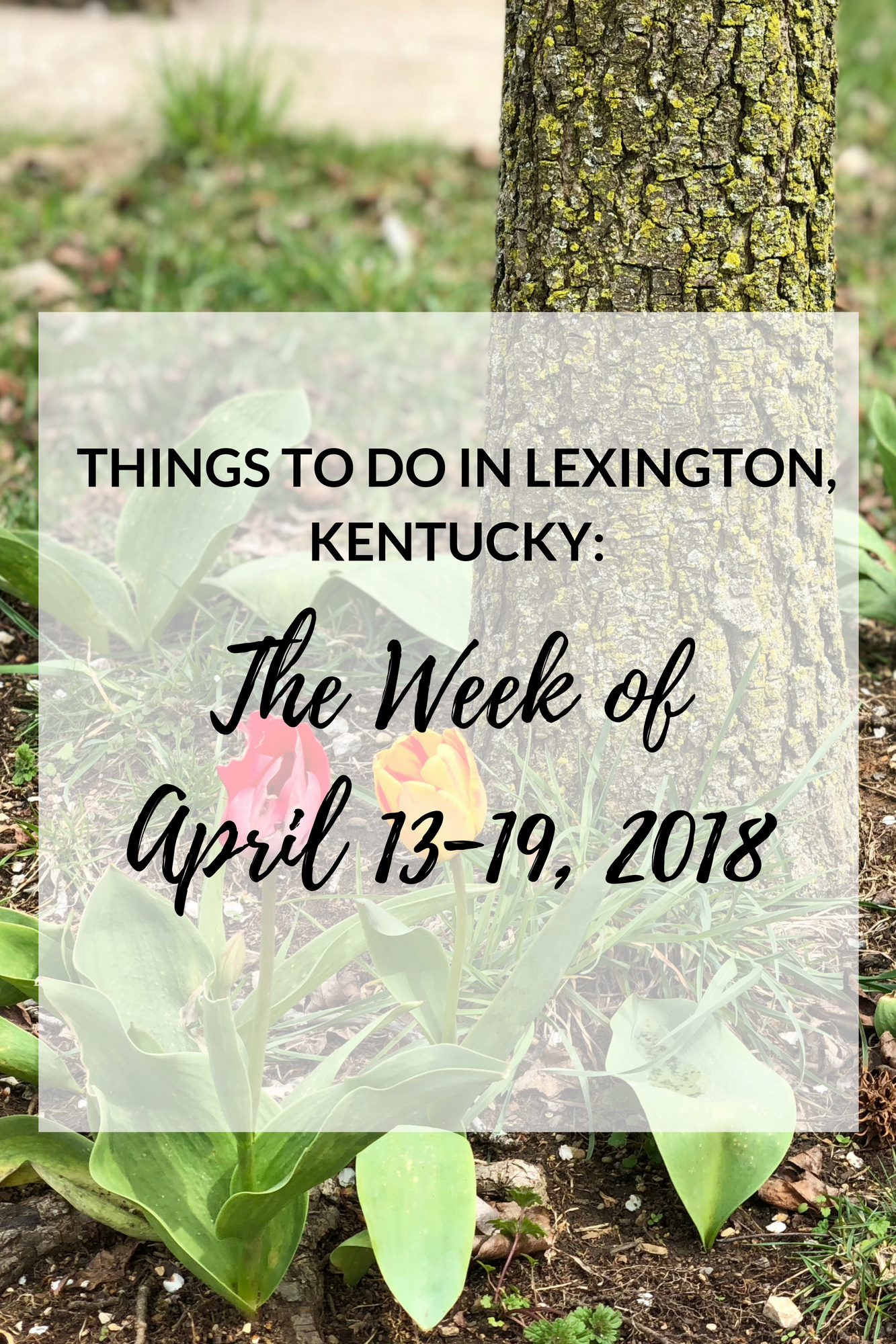 It's Friday the 13th, but don't let frighten you! It's 80 degrees outside. I guess we all better enjoy it while we can, because there is rain in the forecast! Let's see what fun awaits us all this coming week... Things to Do in Lexington, Kentucky: The Week of April 13-19, 2018