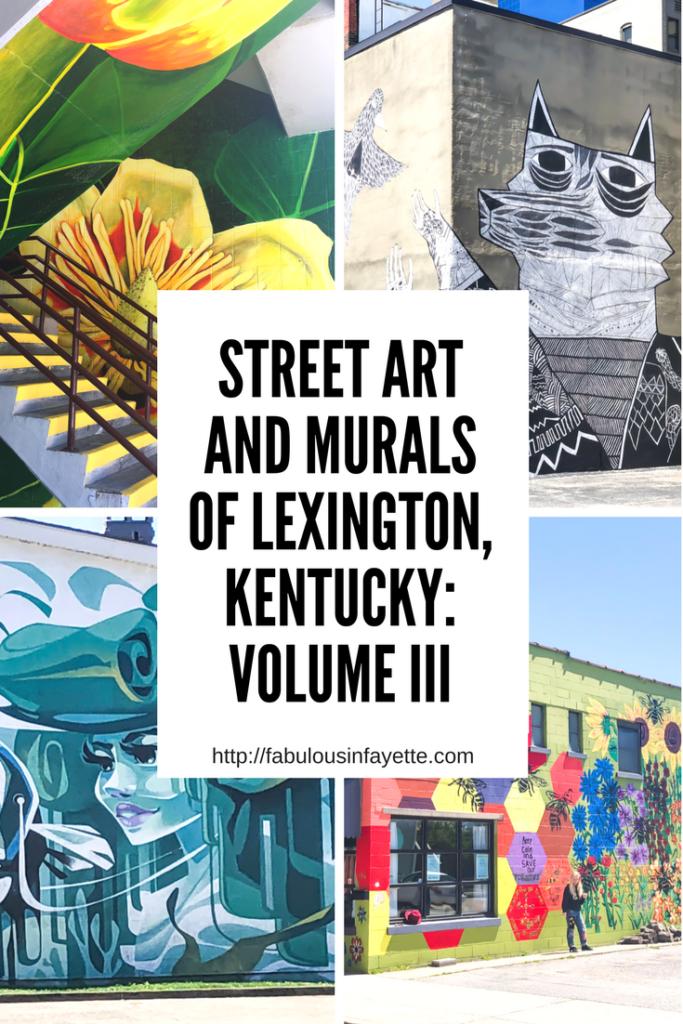 I've been having fun sharing all of the murals and street art that we have throughout Lexington. I think it's something that makes our city beautiful, interesting, and unique. If you look closely, you can find street art or murals just about everywhere you look! #sharethelex #lexingtonky #kentucky #visitlex #travelky #mural #art #streetart #graffiti #legalgraffiti