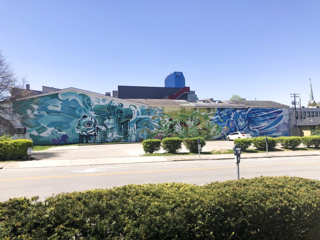 I've been having fun sharing all of the murals and street art that we have throughout Lexington. I think it's something that makes our city beautiful, interesting, and unique. If you look closely, you can find street art or murals just about everywhere you look! #sharethelex #lexingtonky #kentucky #visitlex #travelky #mural #art #streetart #graffiti #legalgraffiti