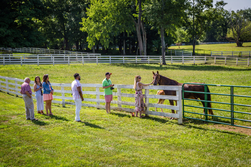 Back in June, I worked with Shelby County Tourism to explore what all Shelby County had to offer. To be honest, I really hadn't spent too much time in Shelby County, or even Shelbyville, except for the events that I've attended at Jeptha Creed. Shelbyville is a short drive from Lexington (only about 45 minutes). If you look around wherever you live, whether it's the city you live in or another state, you can find hidden gems where you may least expect it! #visitshelbyky #travelky #travel #horses #kentucky #tasteky #food #eatkentucky #shelbycounty #shelbyville