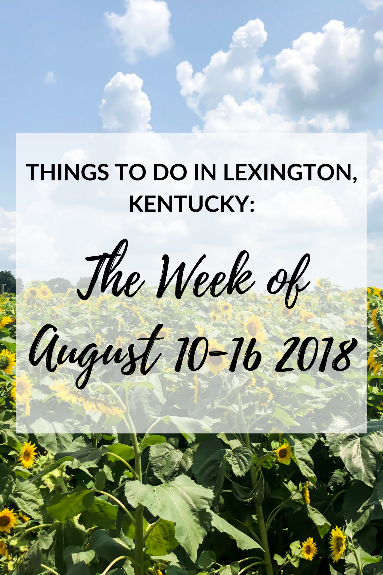 We've finally made it through another week. Can you believe it's almost the middle of August? It just seems like August just started! Since I can't include everything on my list, I’ve handpicked the events and included the ones that I think everyone would enjoy the most! #lexingtonky #kentucky #travel #summer