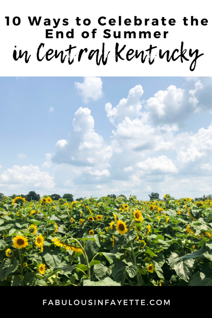 It's the beginning of August and summer is slowly coming to an end. Before we know it, it will be fall, which is my favorite season! However, there are still a couple of weeks left before it's officially fall, so we might as well take advantage of what summer has to offer, while we can! #visitlex #kentucky #sunflowers #summer #celebrate #list #lexingtonky #outdoors #nature