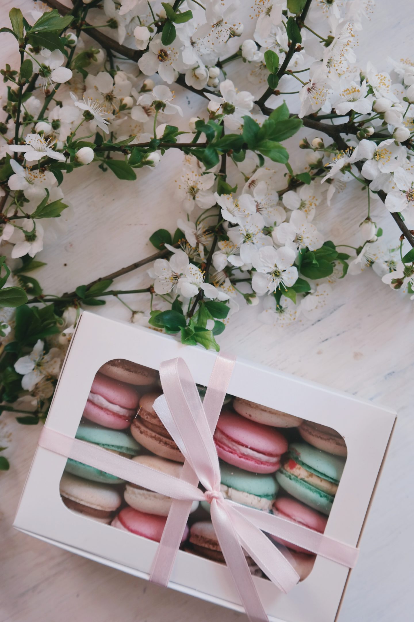 Colorful macarons in a box with a ribbon with flowers 