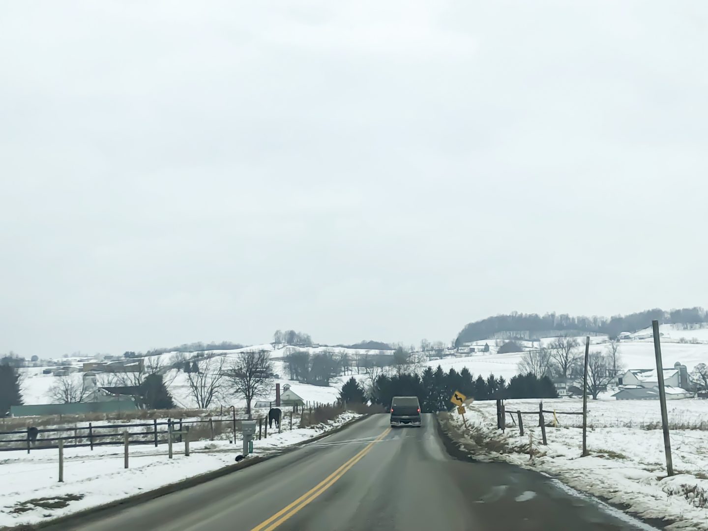 Seguro que cuando piensas en el vino y en la región vinícola, te viene a la mente Napa Valley, California. Sin embargo, Ohio es el sexto mayor productor de vino del país. Investigando un poco más, he descubierto que Coshocton, Ohio, fue el destino vinícola número uno en 2018. Lo visité y pude ver la belleza que ofrece la zona, además de aprender sobre el vino en las bodegas. Buscas algún lugar para comer o atracciones en la zona? ¡Echa un vistazo a la guía de viajes de Coshocton! #sponsored #coshco #coshocton #ohio #visitohio #travel #winery #wine #winetasting #amishcountry #cochoctonohio #ogic #grapes