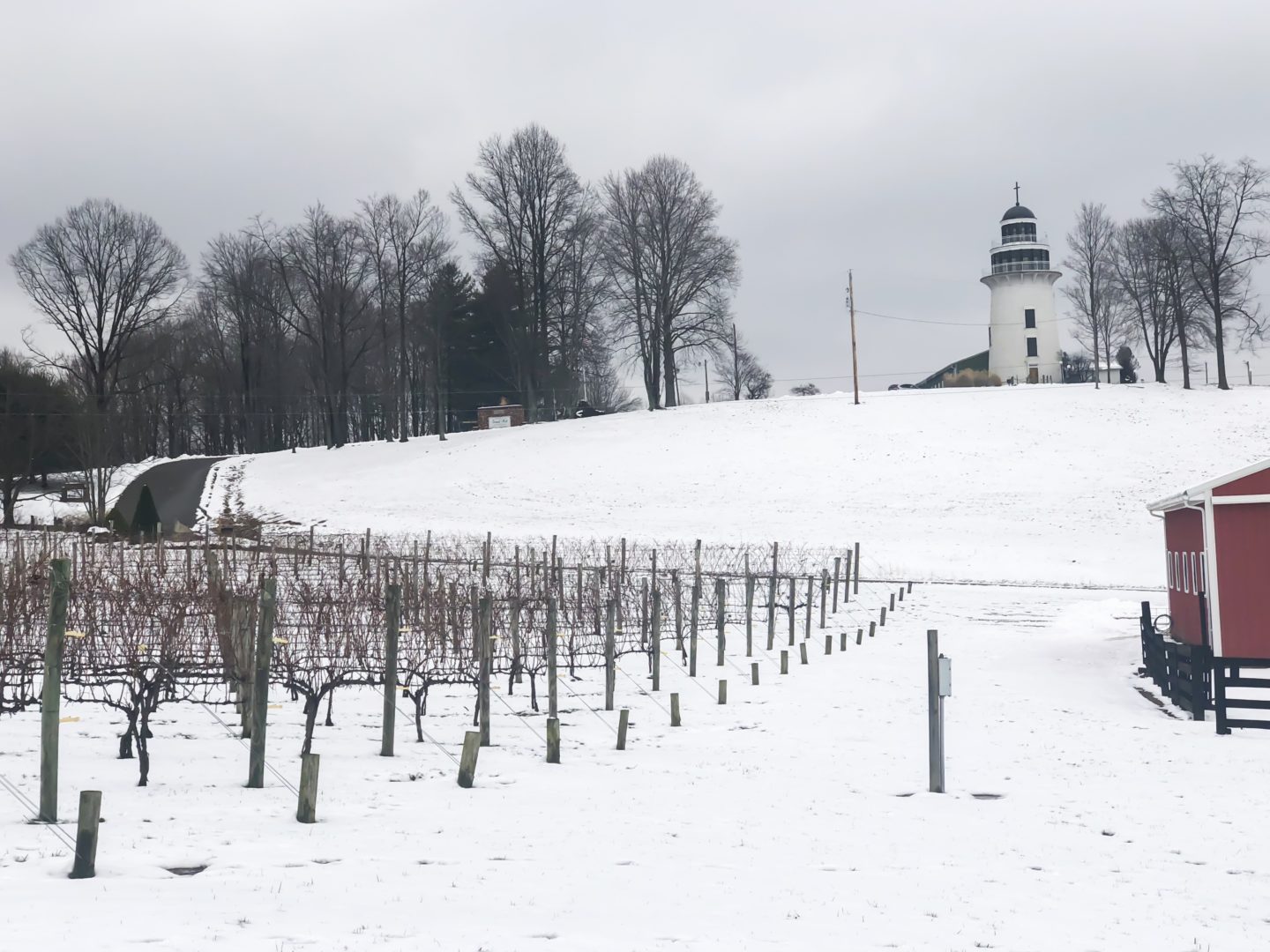 Jeg er sikker på, at når du tænker på vin og vinland, så kommer Napa Valley i Californien i tankerne. Men Ohio er den sjettestørste producent af vin i landet. Ved yderligere research har jeg opdaget, at Coshocton, Ohio var den førende vindestination i 2018. Jeg besøgte det og fik set den skønhed, som området har at byde på, samtidig med at jeg lærte om vin fra vingårdene. Leder du efter et sted at spise eller attraktioner i området? Tjek rejseguiden til Coshocton! Heritage Hill er en prisbelønnet vingård! #sponsored #coshco #coshocton #ohio #visitohio #travel #winery #wine #wine #winetasting #amishcountry #cochoctonohio #ogic #grapes