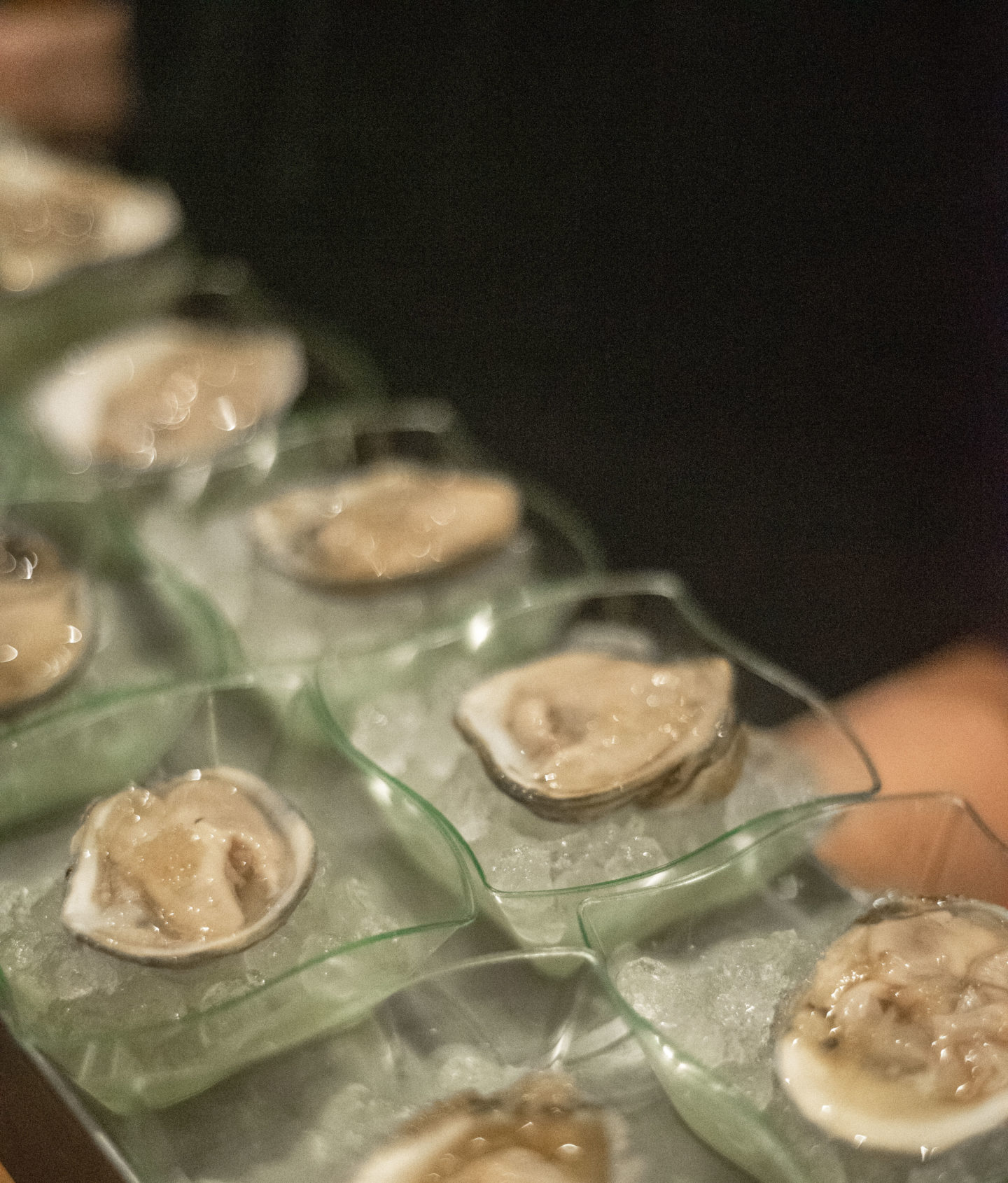 Many oysters on a plate