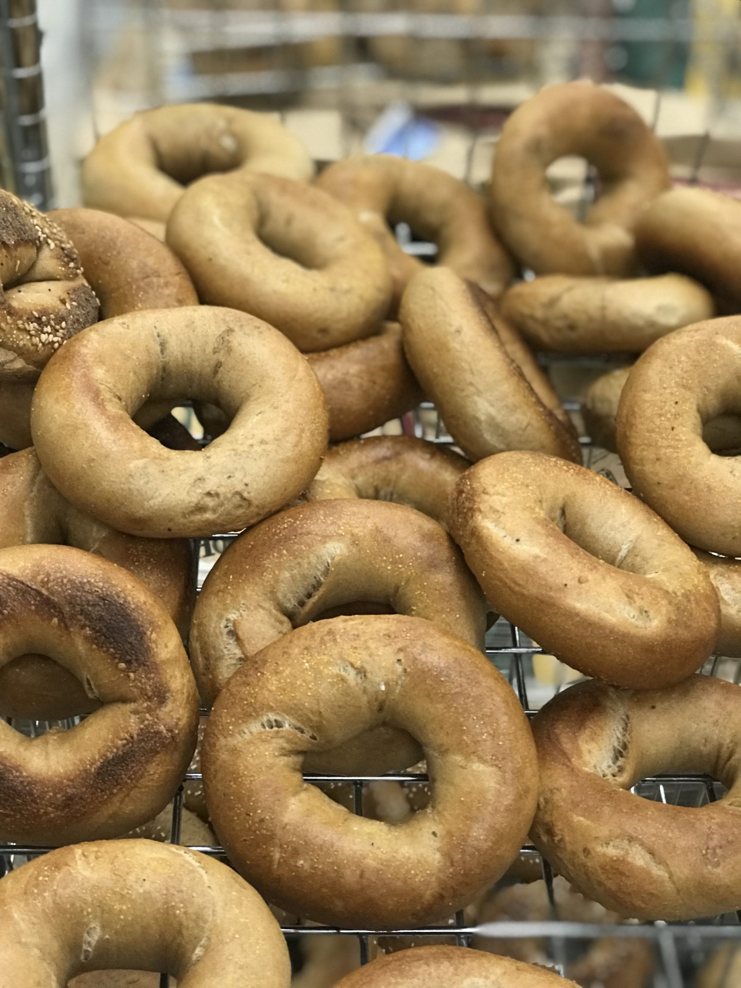 Tons and tons of bagels