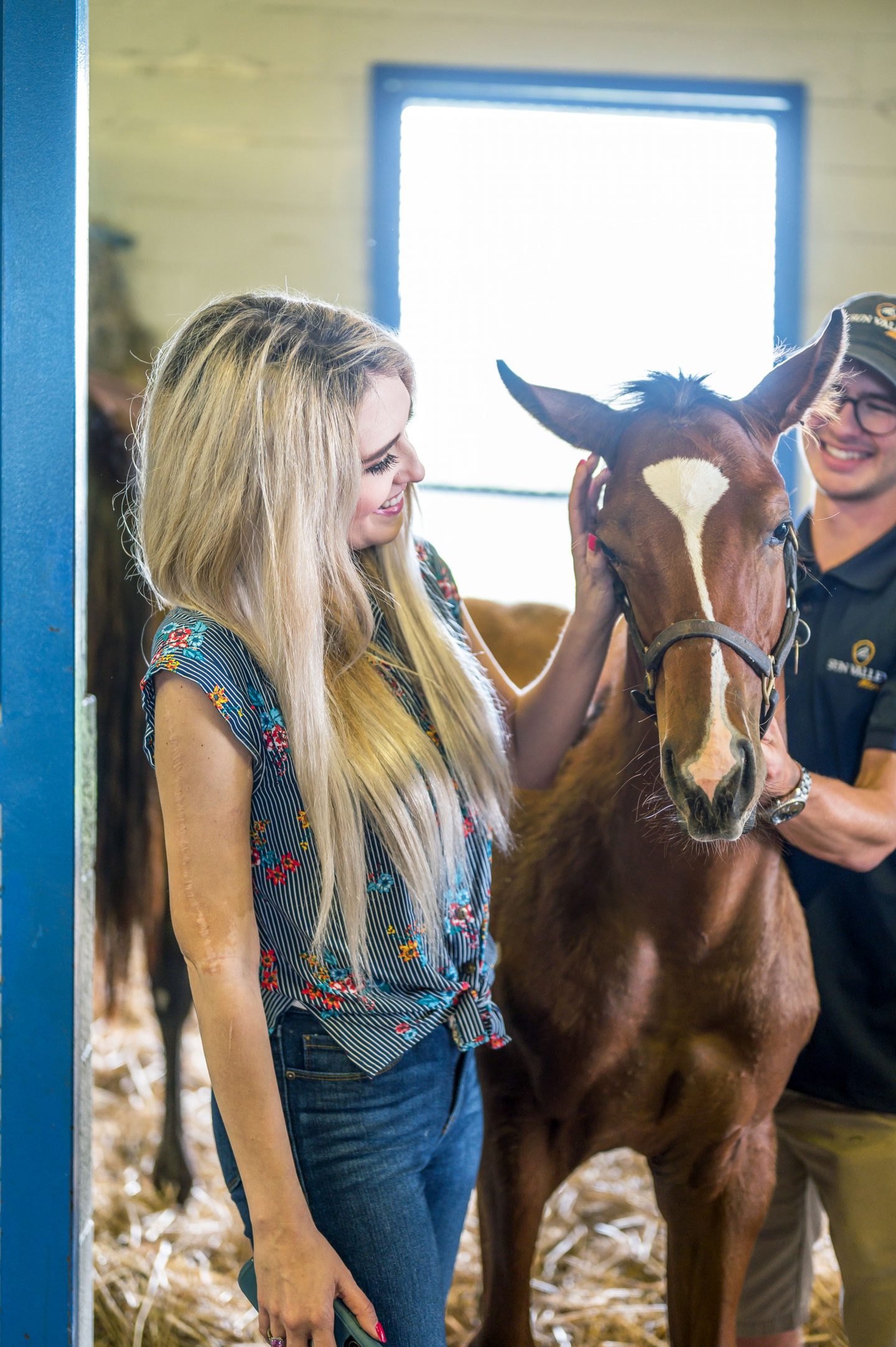 Girl petting a horse