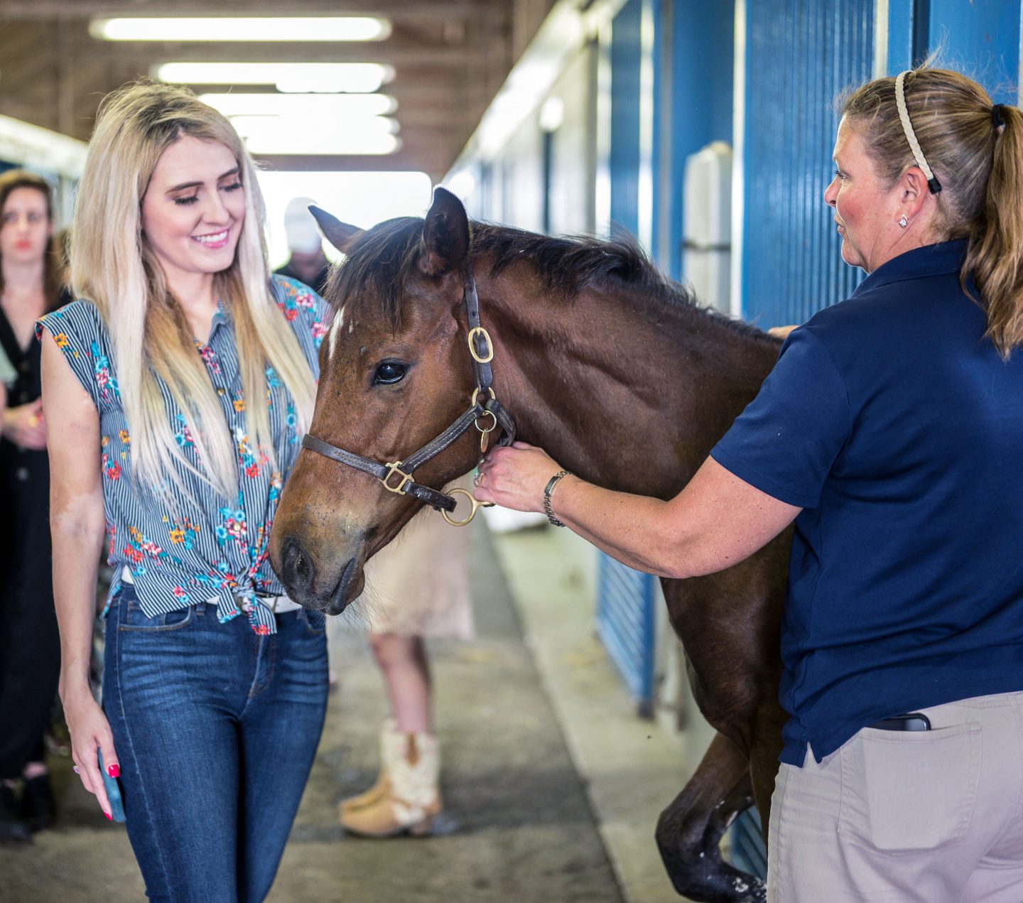 Girl looking at a horse