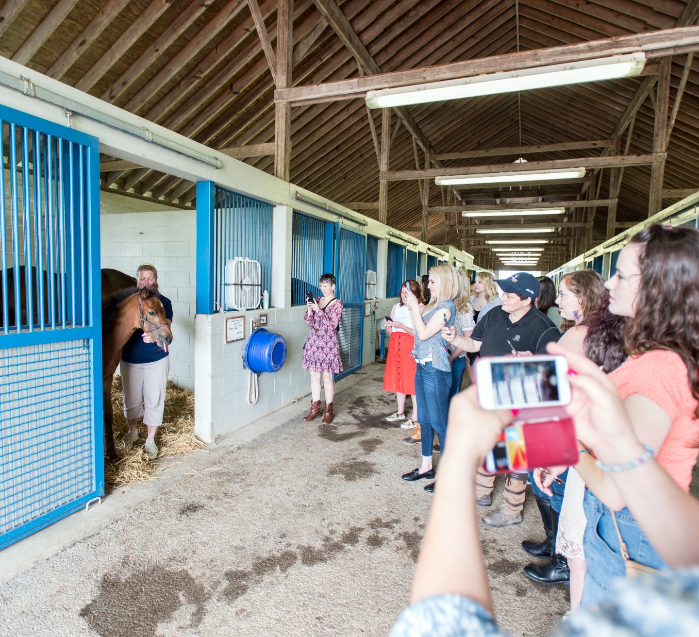 A group of women in a barn taking a picture of a horse