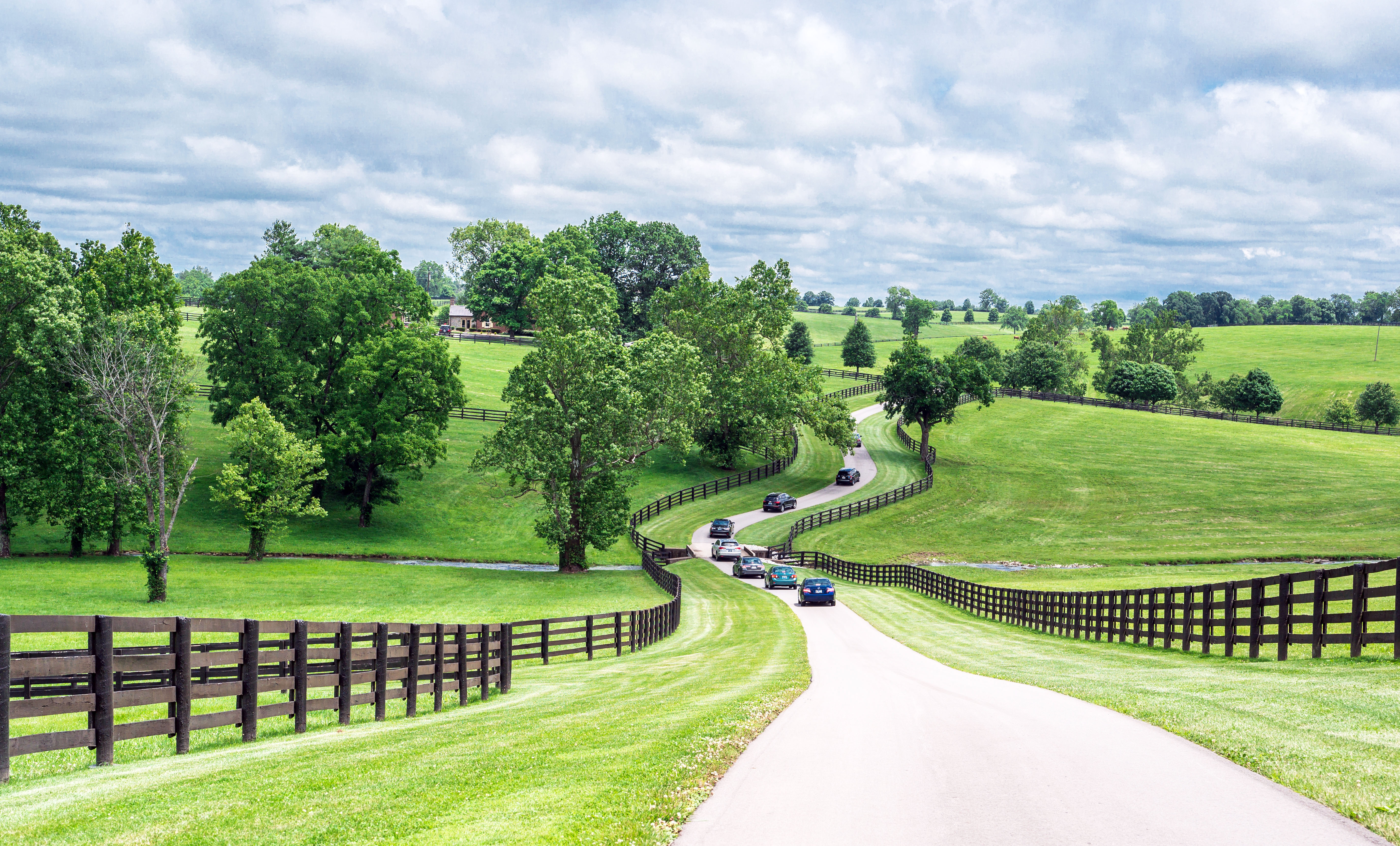 golden age farm versailles ky