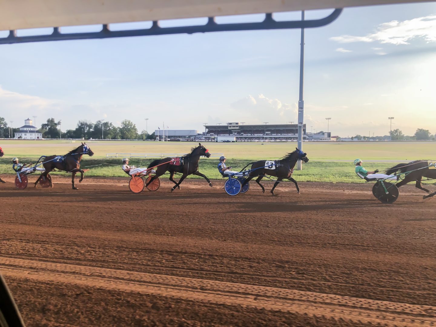 harness racing at red mile race track