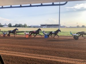 harness racing at red mile race track