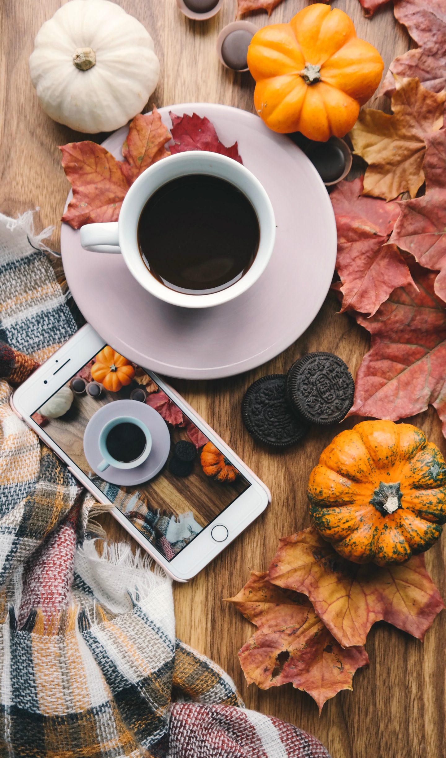 fall leaves flatlay