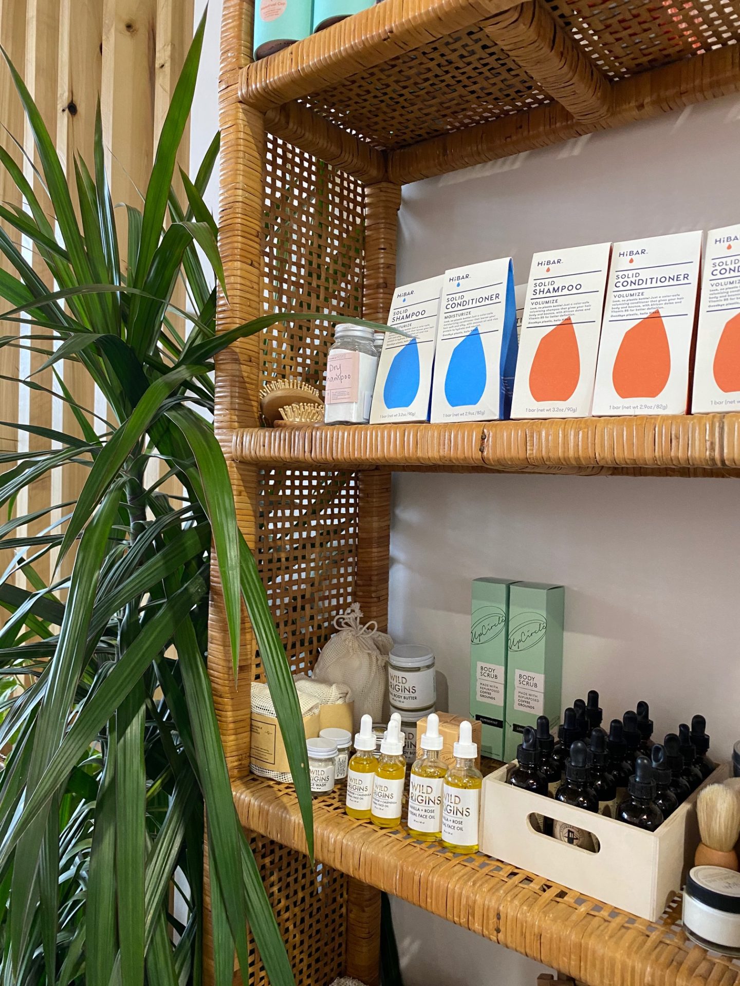 eco-friendly products on shelves